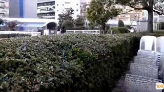 約清純甜美小姐姐下海手伸進裙子摸奶子不給口交撸硬開操沙發上騎乘抱起來操女仆裝網襪後入